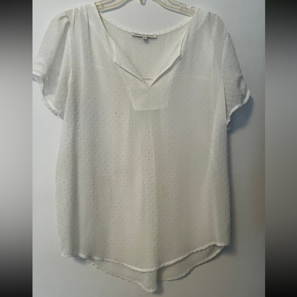 Daniel Rainn White Sheer Swiss Dot Tunic Blouse in size Medium